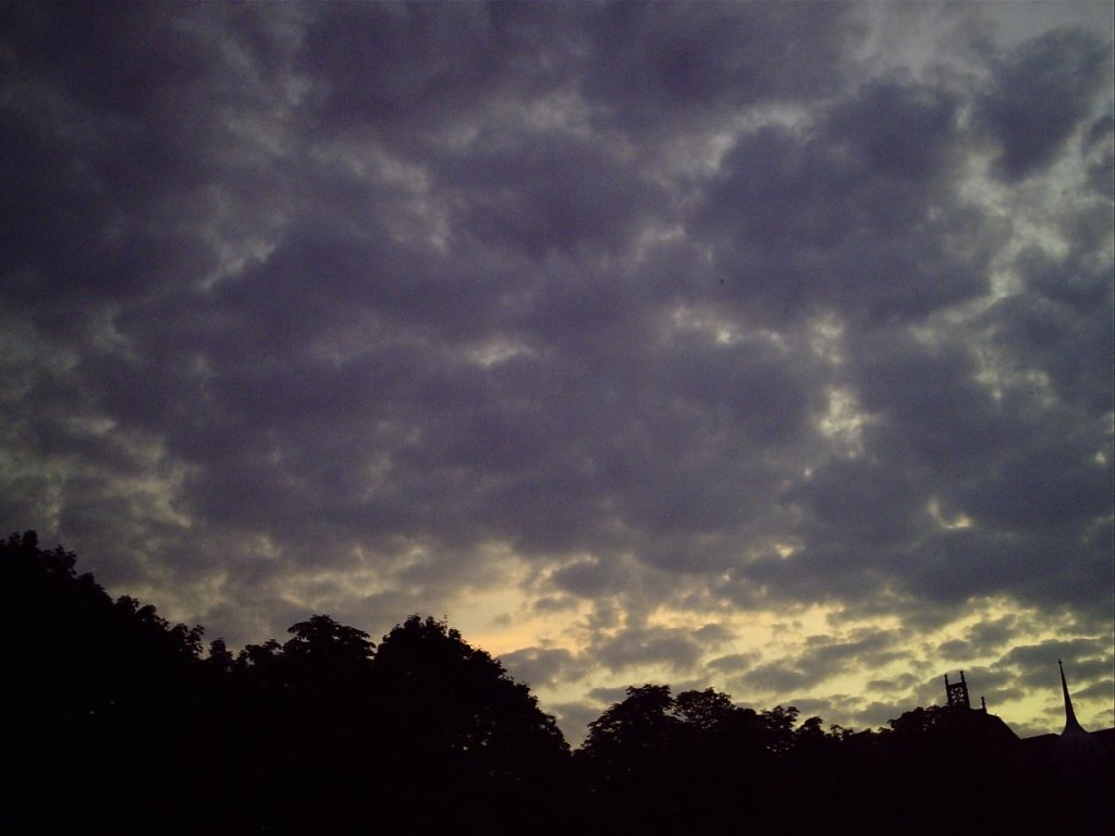 My beautiful picture