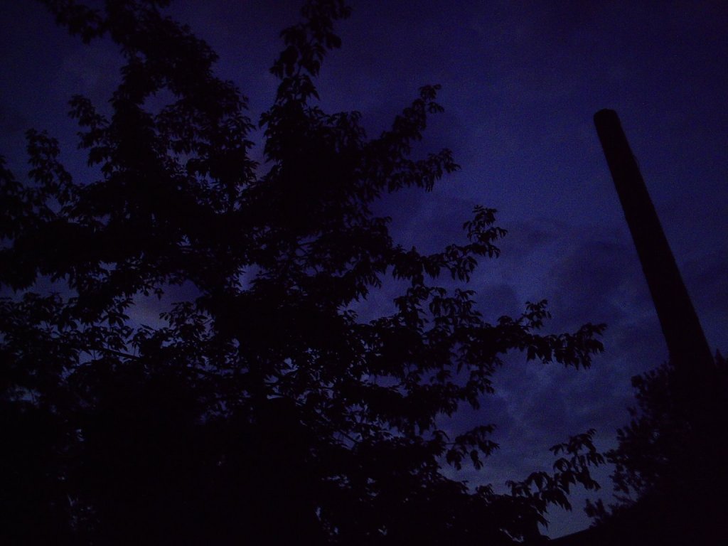 My beautiful picture