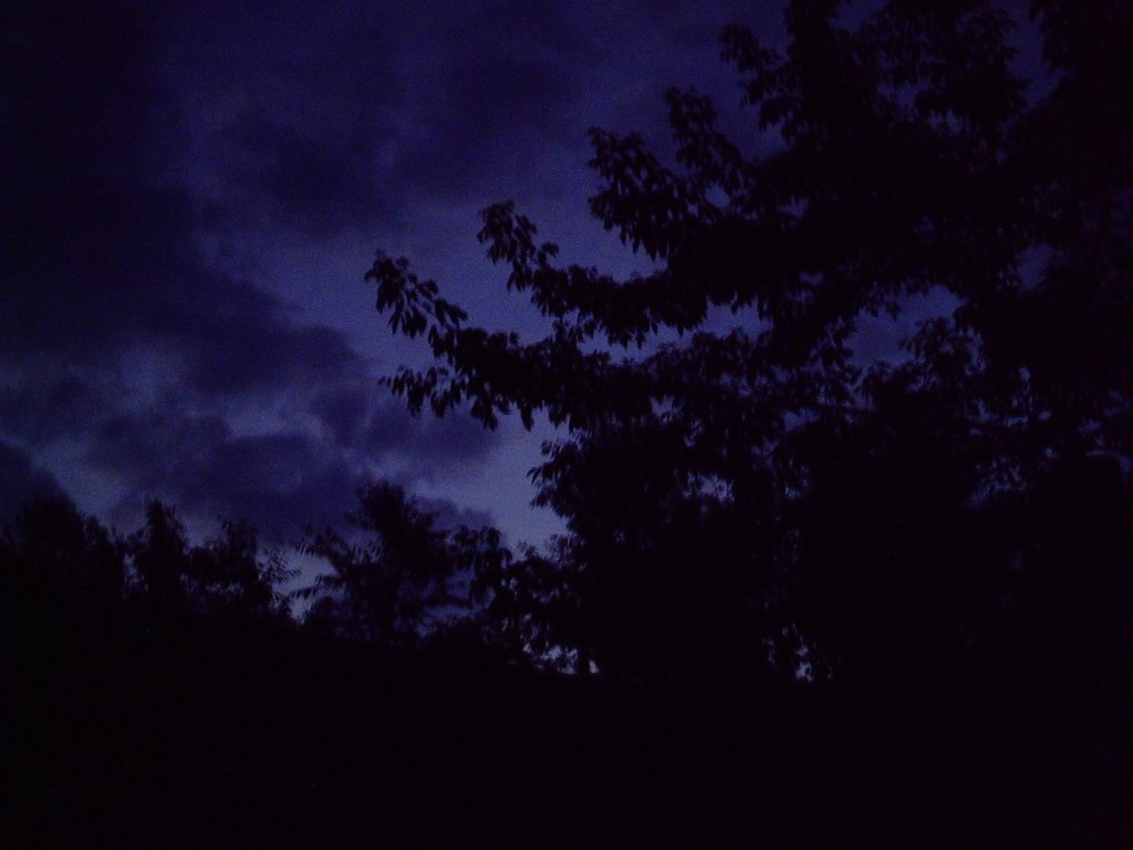 My beautiful picture