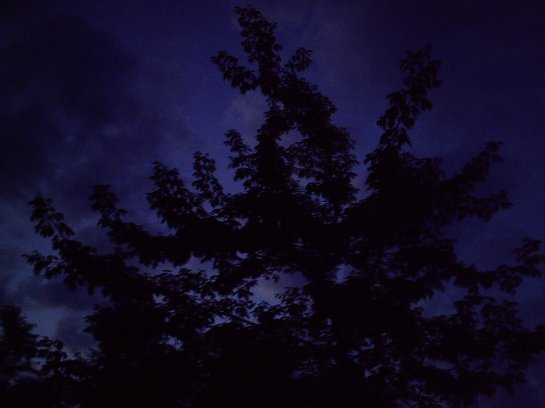 My beautiful picture