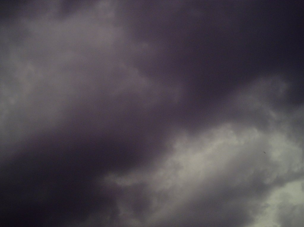 My beautiful picture