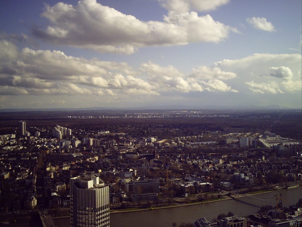 My beautiful picture