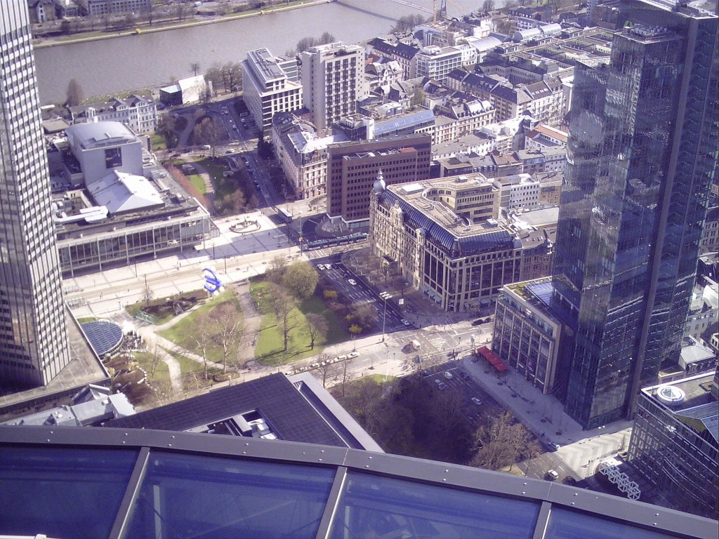 My beautiful picture