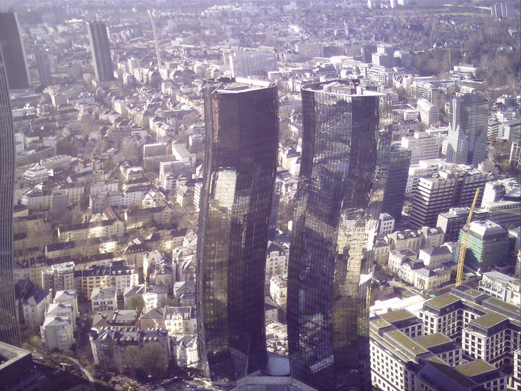 My beautiful picture