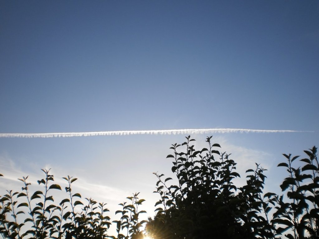 Rollei Digital Camera