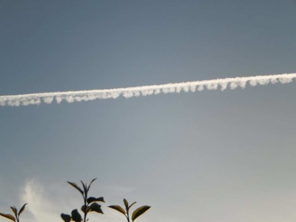 Rollei Digital Camera