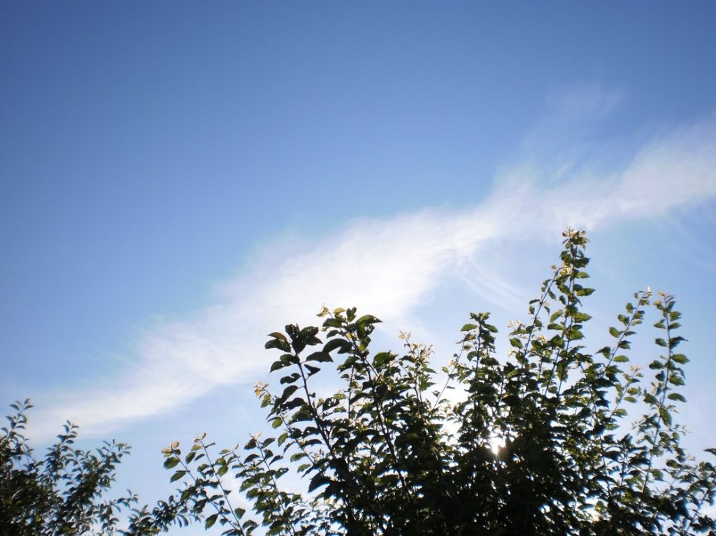 Rollei Digital Camera