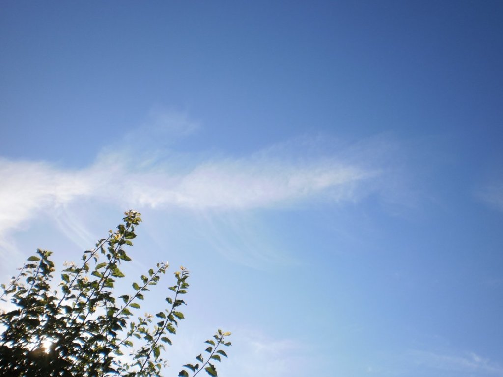 Rollei Digital Camera