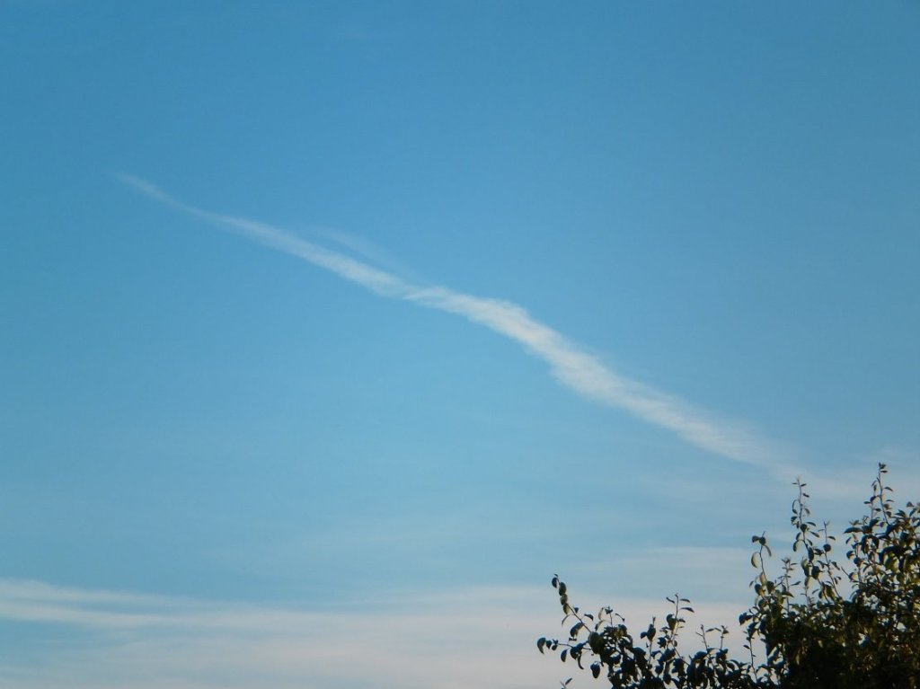 Rollei Digital Camera