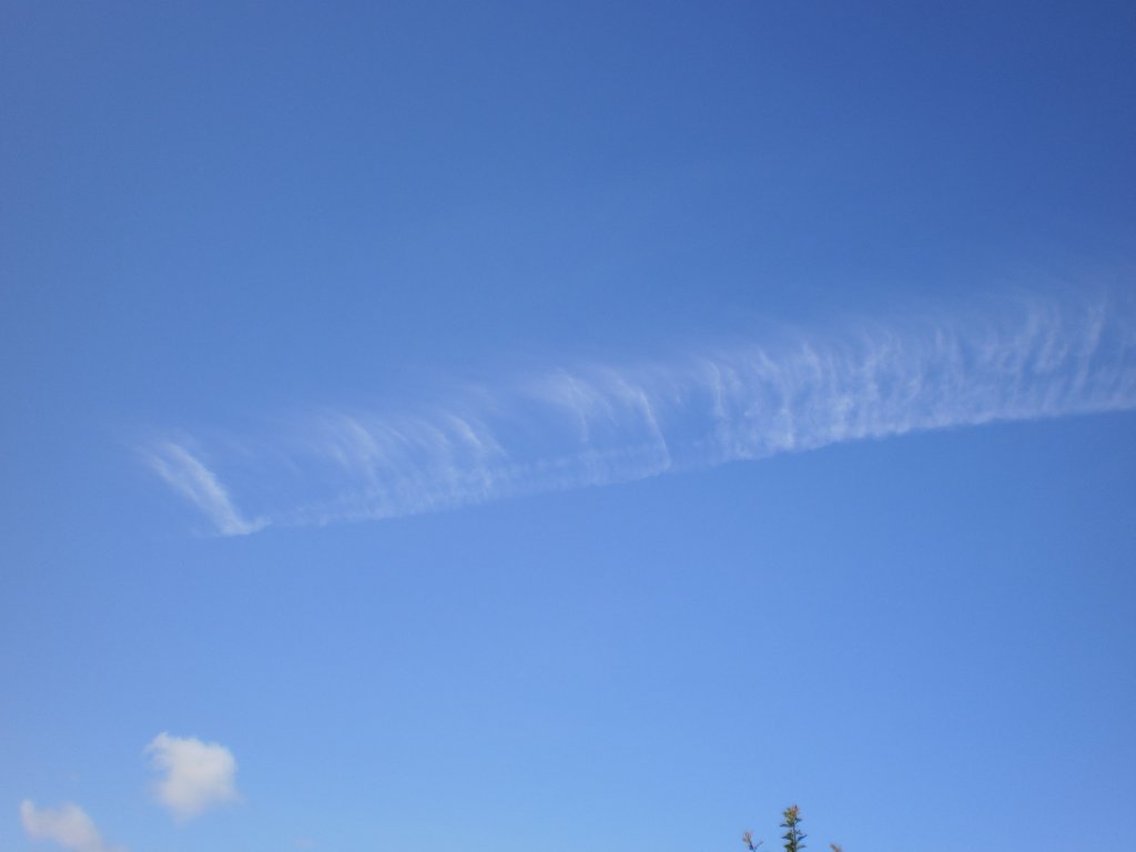 Rollei Digital Camera