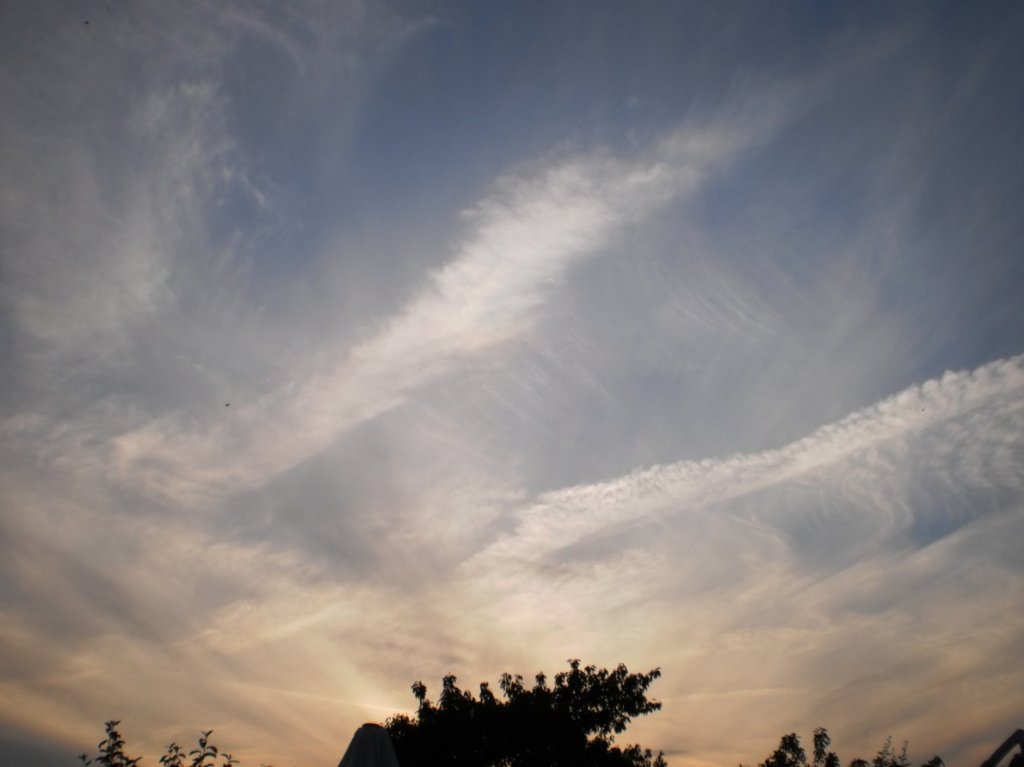 Rollei Digital Camera