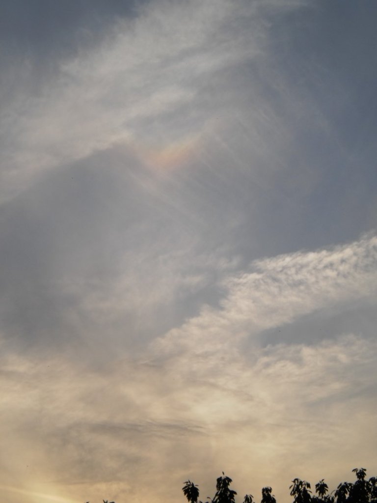 Rollei Digital Camera