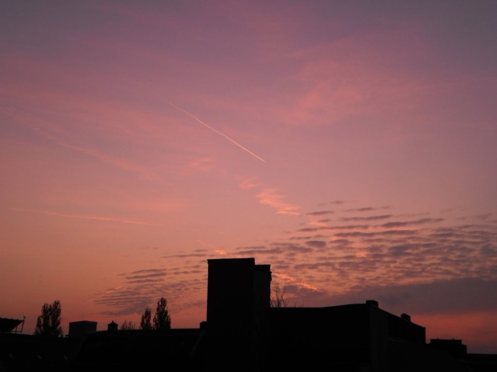 Rollei Digital Camera