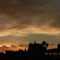 DSCN2948 g