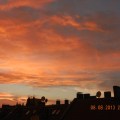 DSCN2952 g