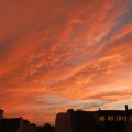 DSCN2955 g