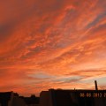 DSCN2958 g