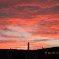 DSCN2964 g