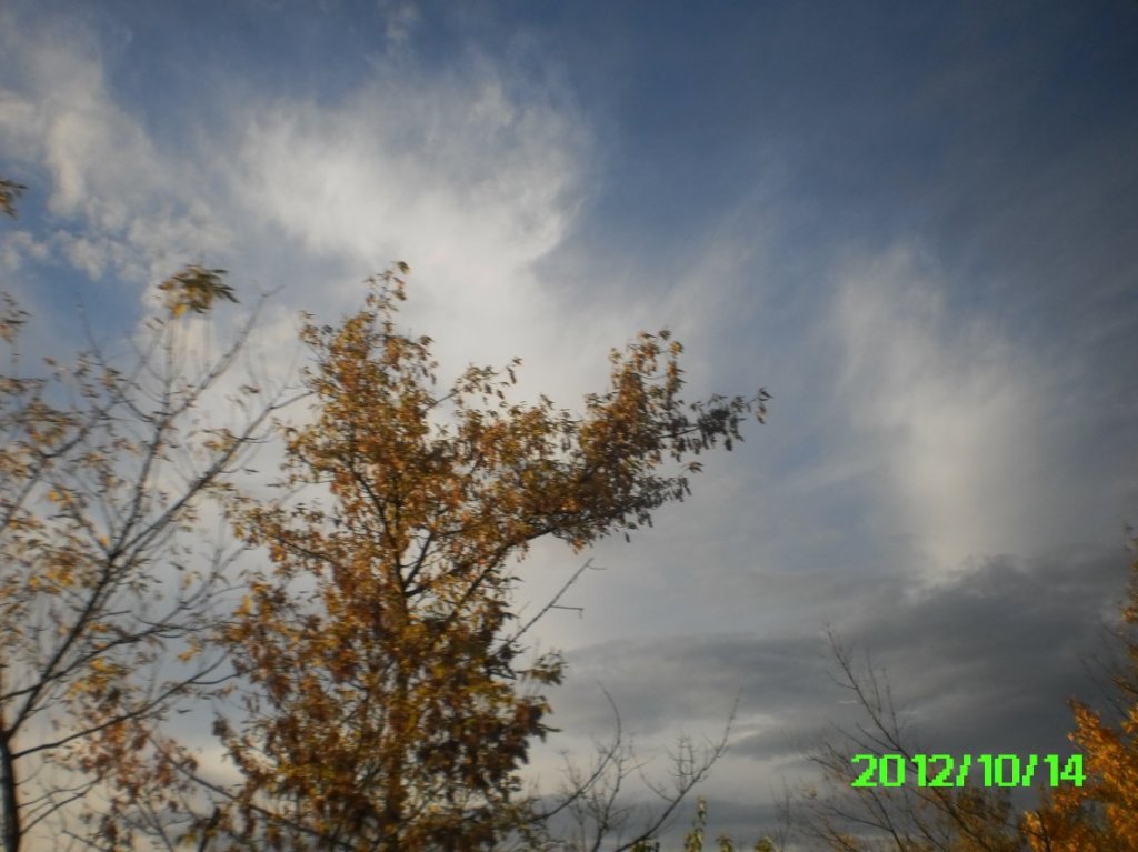 Rollei Digital Camera