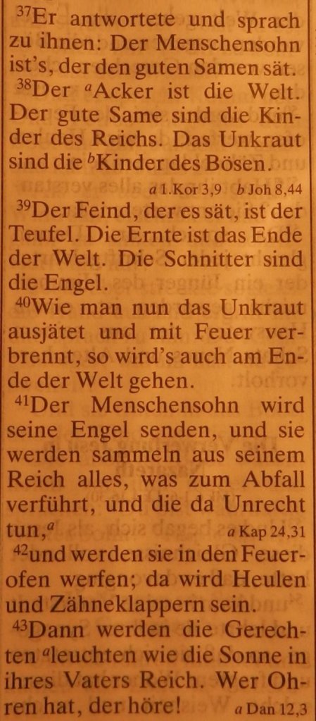 Matt13_37-43