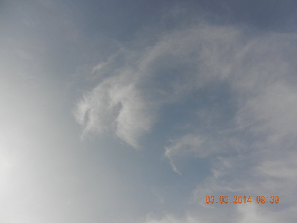 140303-0032