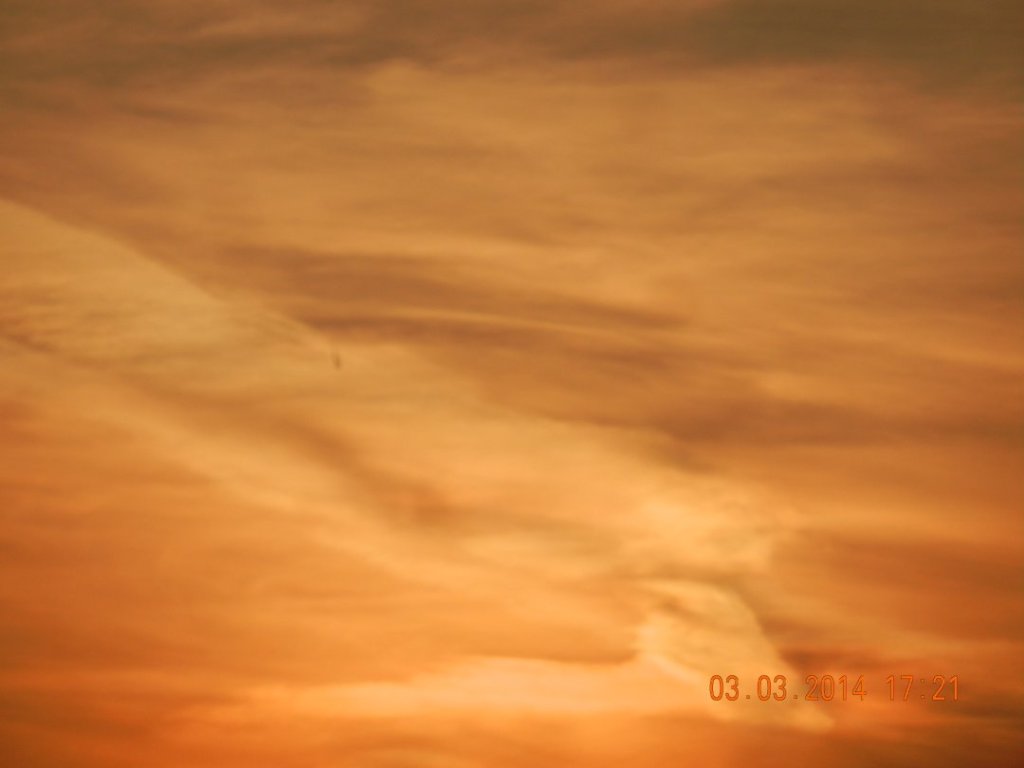 140303-0153