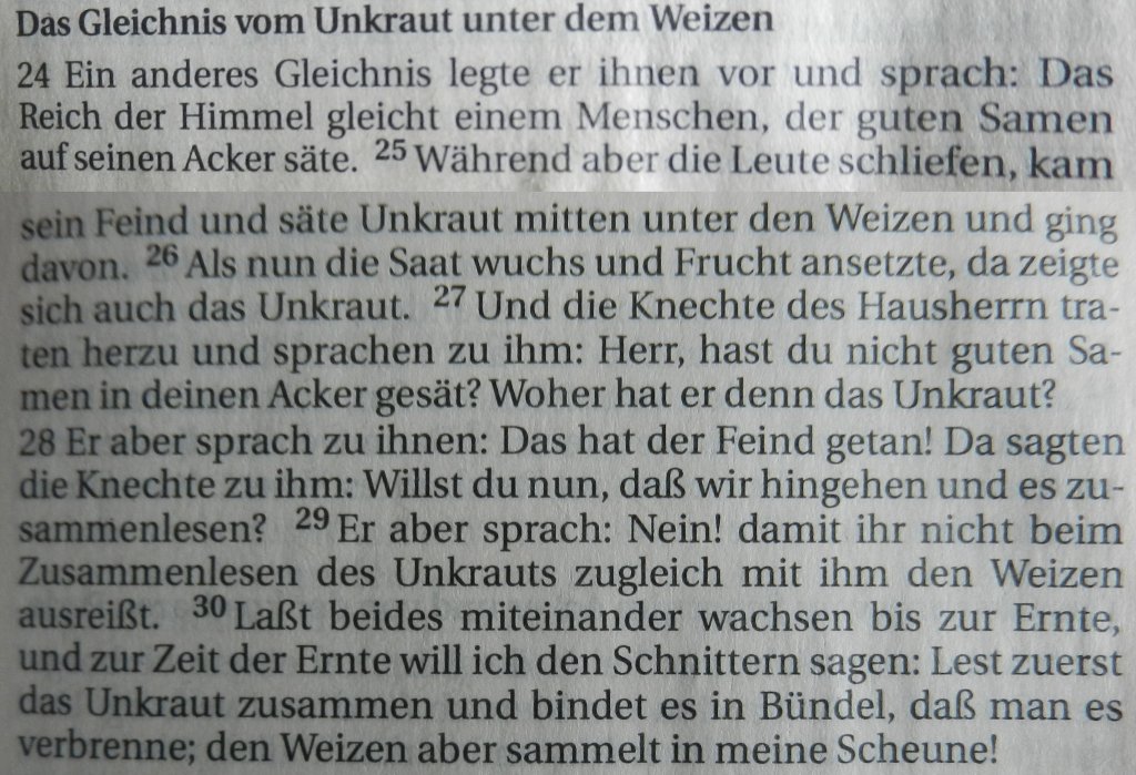 Matthäus 13, 24-30