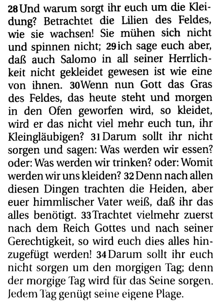 Mt6_28-34