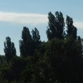 140525-006
