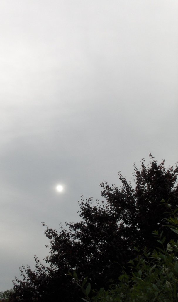 140607-d2-Graue Kunst