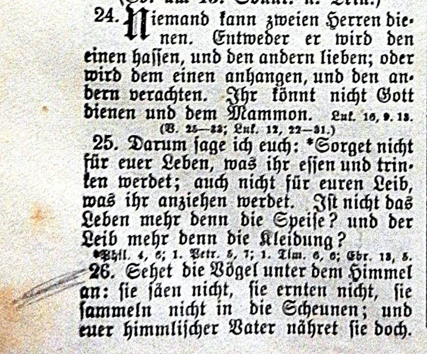 Die Bibel - Matthäus 6, 24-26a