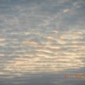 141101-006