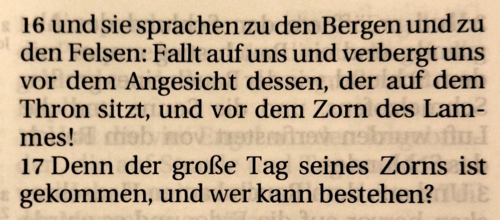 Offenbarung6_16-17