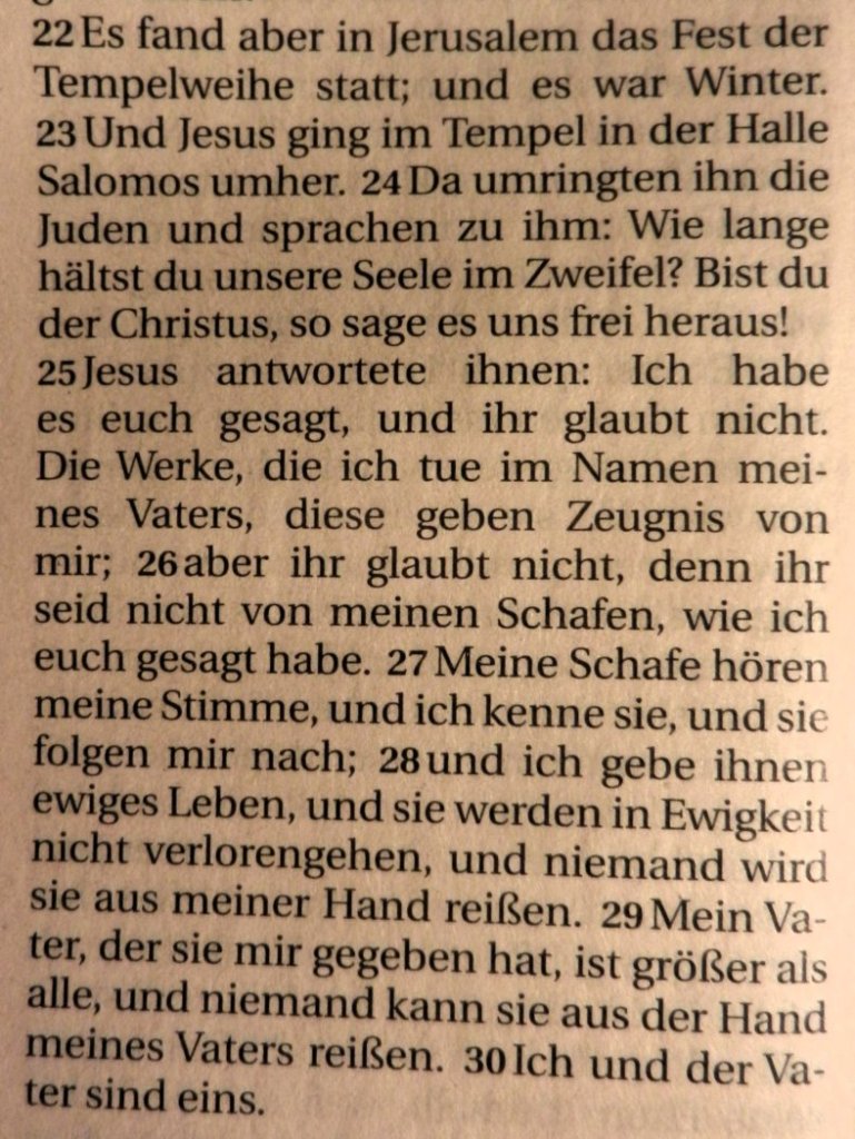Johannes10_22-30