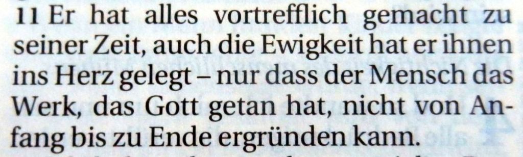 prediger3_11