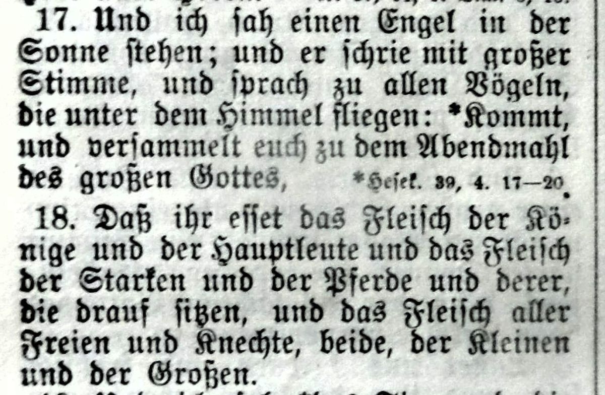 Offenbarung 19, 17-18