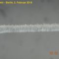 160202-110