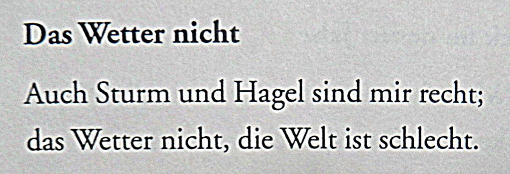 waldemar-dege-das-wetter-nicht