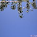 160505-020