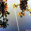 160505-022a