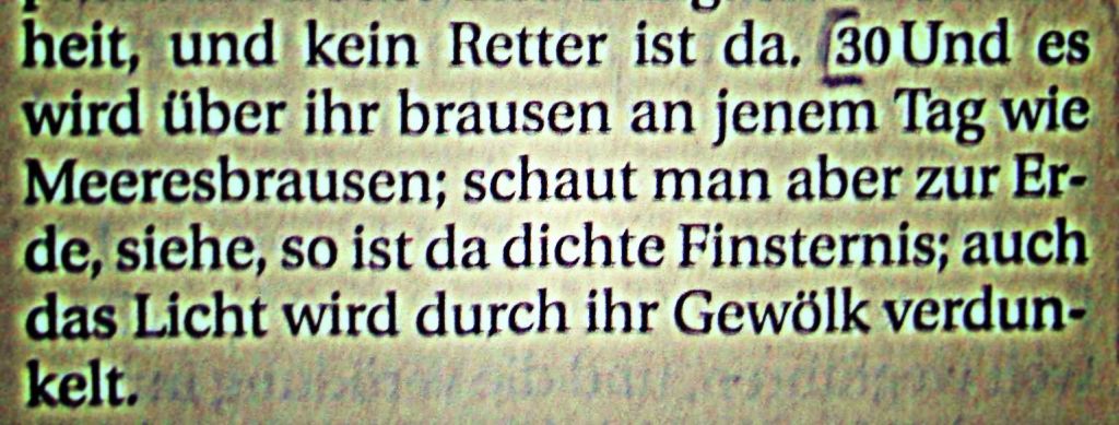 Die Bibel - Jesaja 5, 30