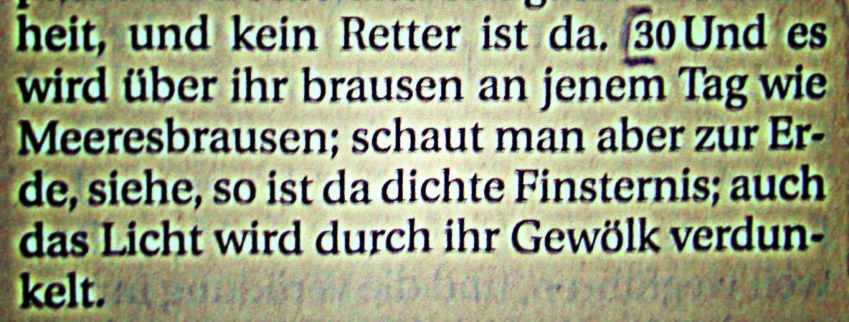 Die Bibel - Jesaja 5, 30