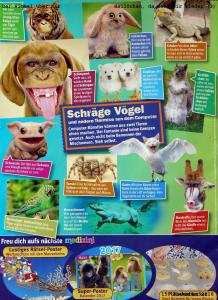 161115-schraege-voegel-003