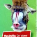 Mandraffe
