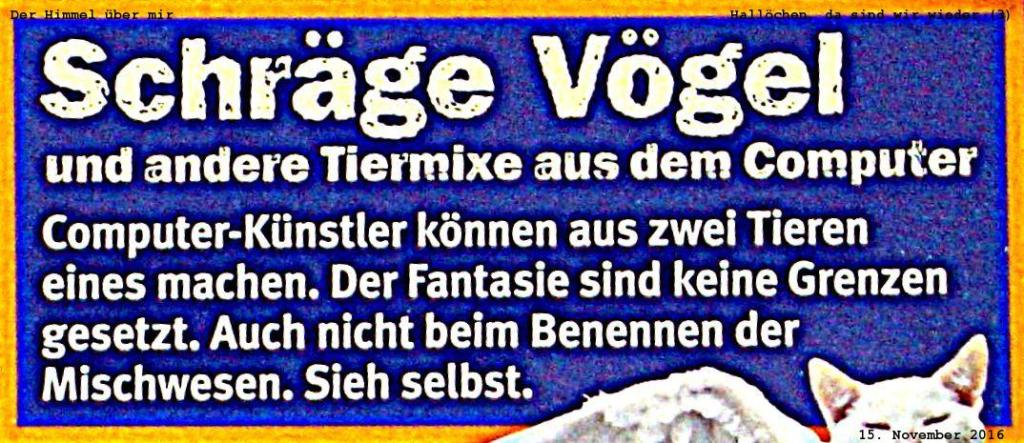 161115-schraege-voegel