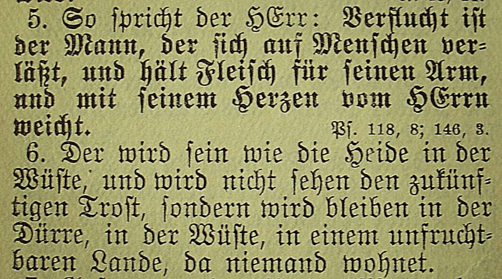 Die Bibel - Jeremia 17, 5-6