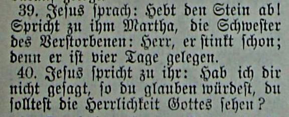 Die Bibel - Johannes 11, 39-40