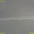 170303-242