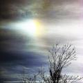 170303-310a