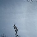 180404-026
